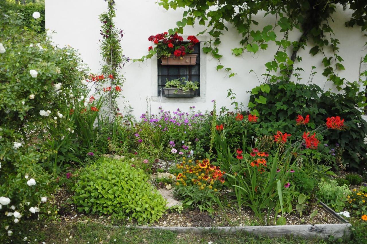 Bed and Breakfast Il Sanco Selva di Progno Exterior foto